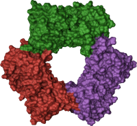 BiochemicalAlgorithms.jl logo